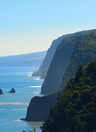 QMR Graphic BI2
